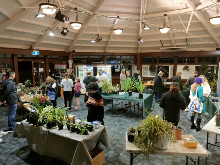 Chch Envirohub Plant Sale